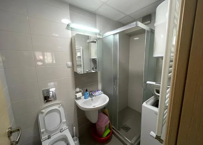 Ruzveltova 44 Apartment